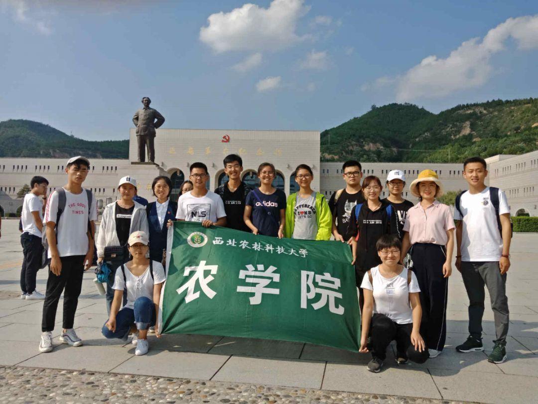 哈尔滨旅游火爆,南方小土豆教你从冰雪小白成为冰雪老司机|东风日产冰雪试驾