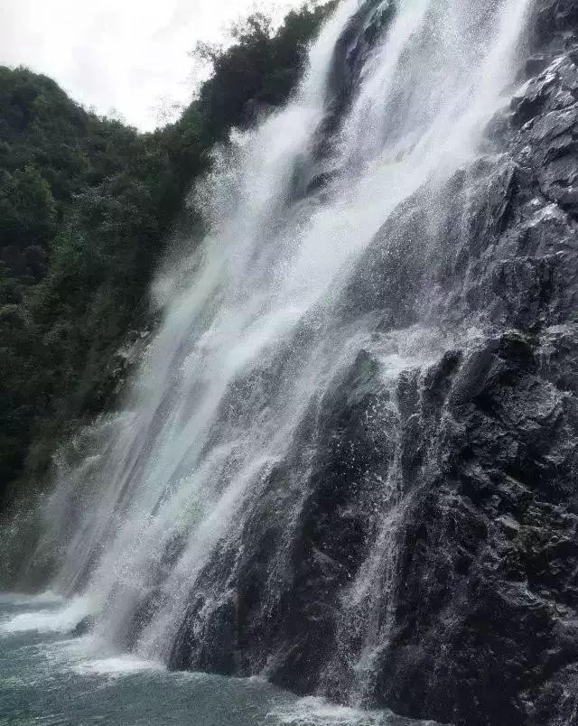 逃离鱼店