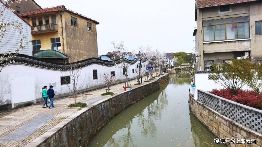 60岁的高龄产妇,冒险产下双胞胎,如今11年过去了,她们现状如何